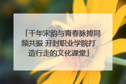 千年宋韵与青春脉搏同频共振 开封职业学院打造行走的文化课堂